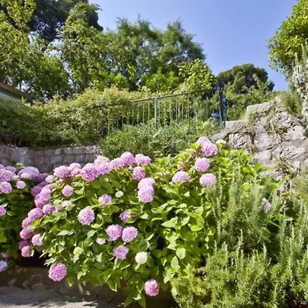 Park Gradac Hotel Dubrovnik